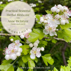 Practical Seasonal Herbal Medicine 2023