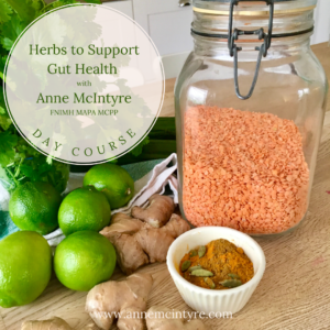 Herbs to Support Gut Health May 2024
