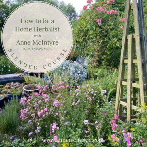 How to be a Home Herbalist 2024