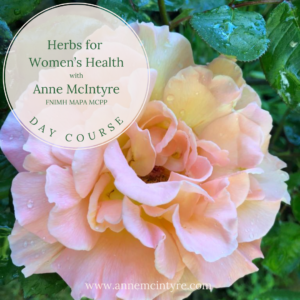 Herbs for Women's Health July 2024