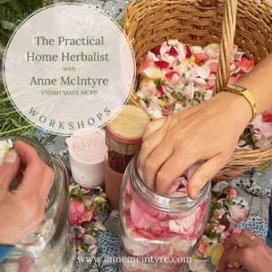 The Practical Home Herbalist 2026
