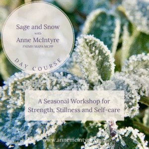 Sage and Snow