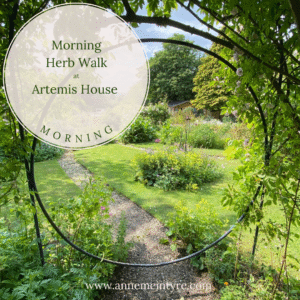 Morning Herb Walk