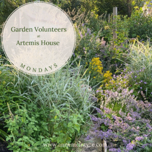 Garden Volunteers for 2026